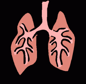 Scientific Qi Exploration (11)- Qigong and the Respiratory System ...