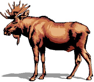 Image of moose clipart 8 large mammals clip art images free ...