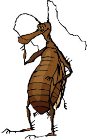 lice-cartoon.jpg - ClipArt Best - ClipArt Best