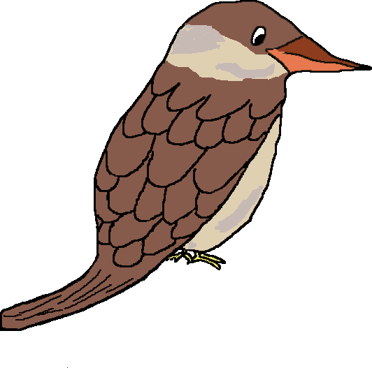 Kookaburra Clipart - ClipArt Best