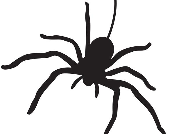 Best Photos of Halloween Spider Stencil - Halloween Spider ...