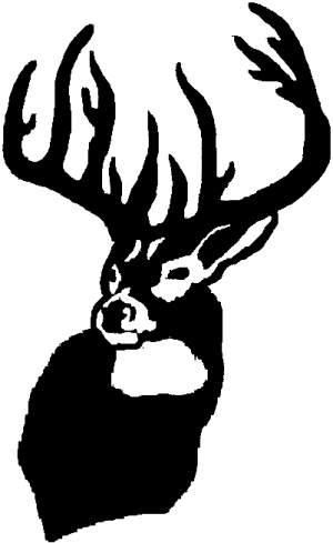 Beautiful Buck Deer Car or Truck Window Decal Sticker - Rad Dezigns