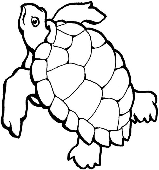 Sea Turtles Cartoon - ClipArt Best