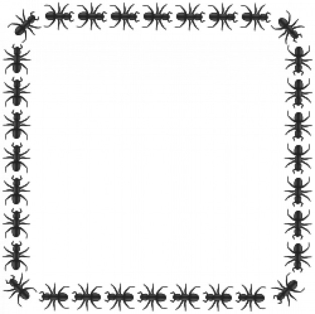 ant border square | Download free Vector