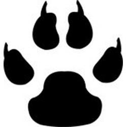 Paw prints stencil - Shop sales, stores & prices at TheFind.