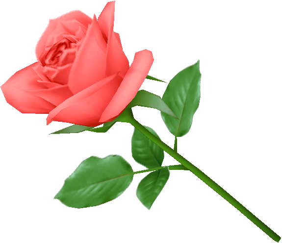 Rose PNG flower images, free download