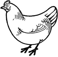 chickens | How To Draw, Cartoons and Baby Chickens