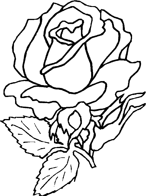 Rose Templates Free - ClipArt Best