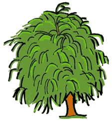 Willow Tree Clip Art - Tumundografico