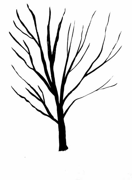 Black And White Tree Drawing