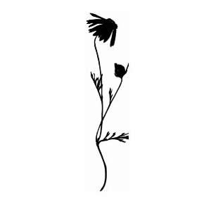 Flower Silhouettes - ClipArt Best