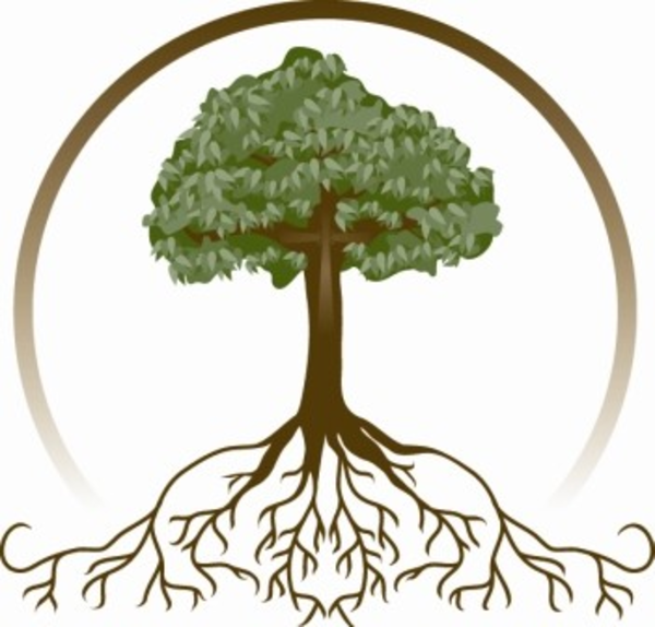 Cartoon Tree Roots