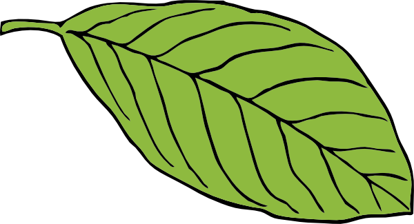 Apple Leaf Template