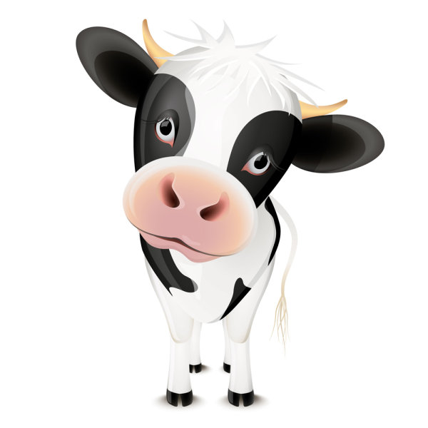 Cute Animated Cows