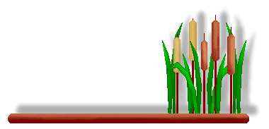 Cattail Clipart - Cattails on a Brown Linebar - Cattails