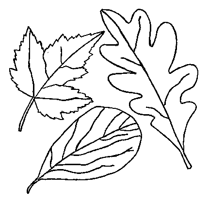 Fall Coloring Pages 2013- Dr. Odd