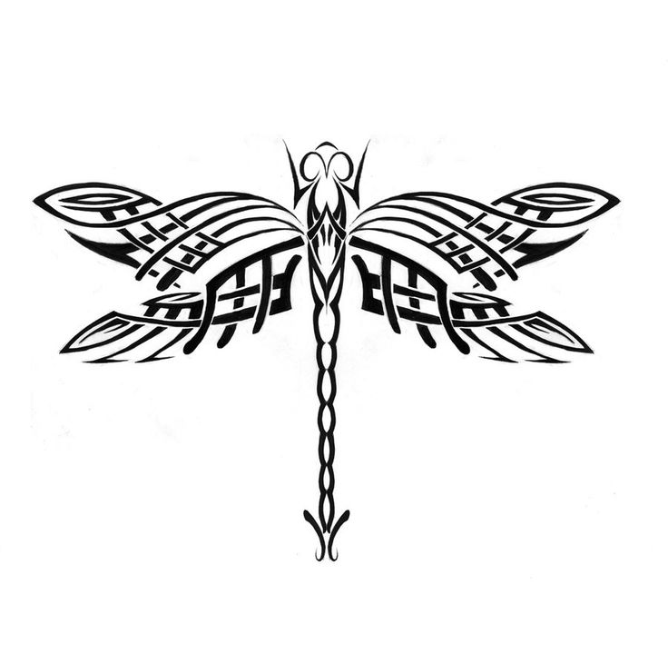 Dragonfly Drawing | Zentangle ...