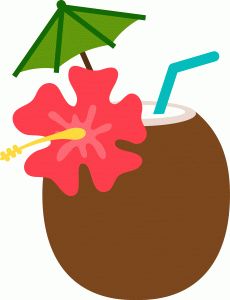 1000+ images about HAWAIANA | Luau party, Hibiscus ...