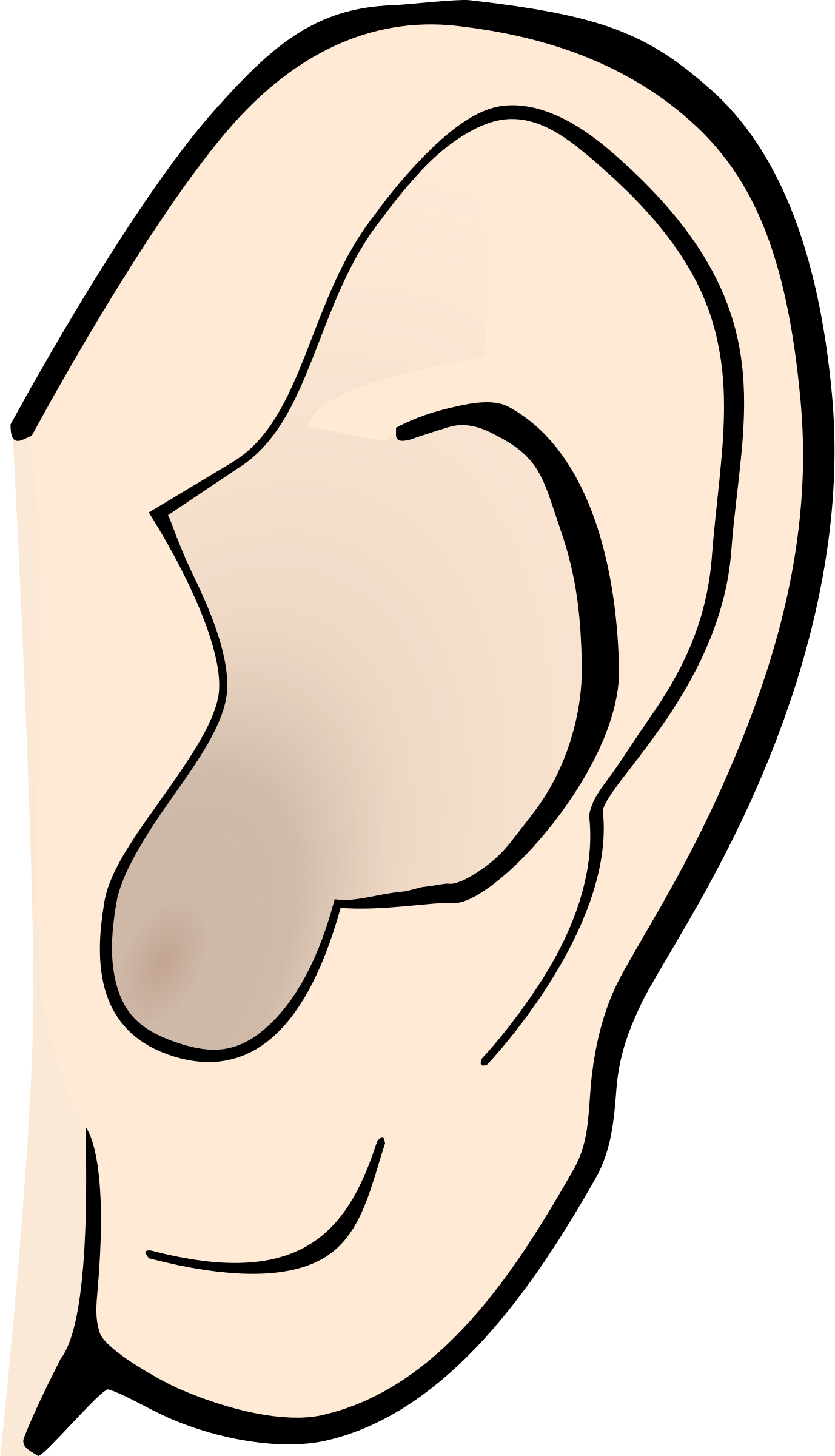 Ear Clipart - 44 cliparts