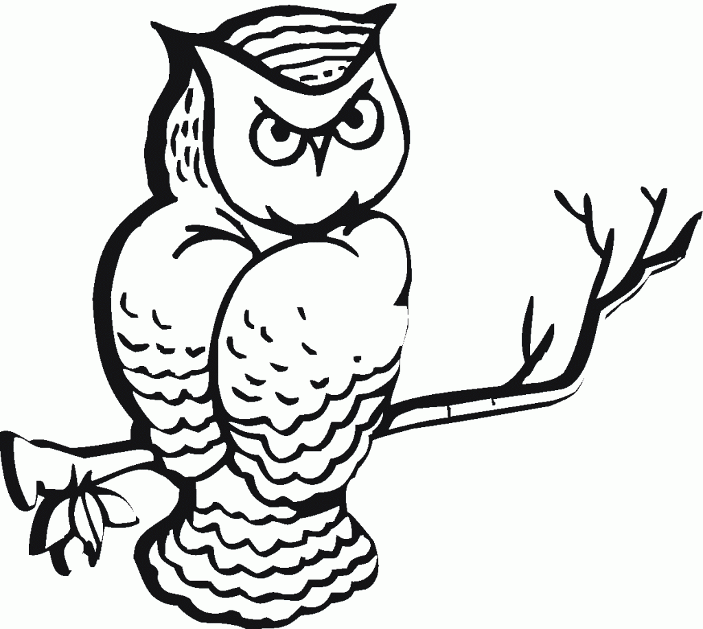 Black And White Owl Cartoon - Clipart Best