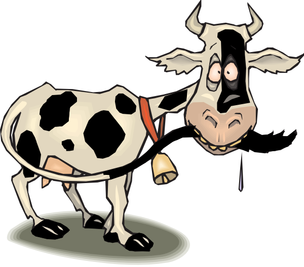 Animated Cow Pictures