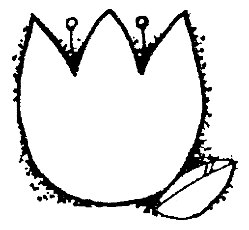 Black and white tulip clipart