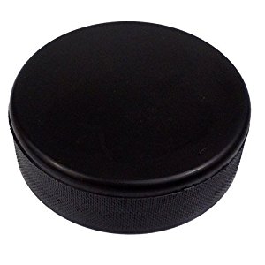 Amazon.com: Hockey Puck Foam Stress Toy: Toys & Games