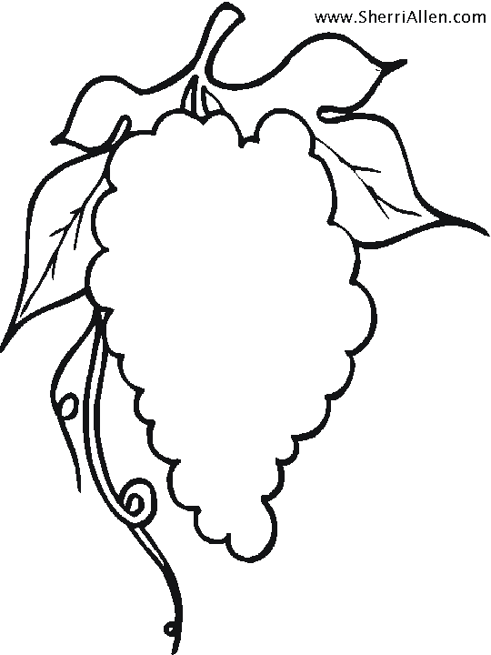 Grape Vine Coloring Page. grape vine coloring page coloring pages ...