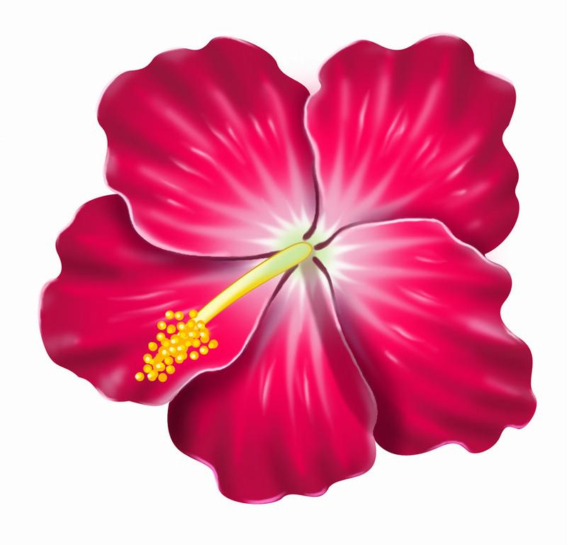 Free hibiscus clip art