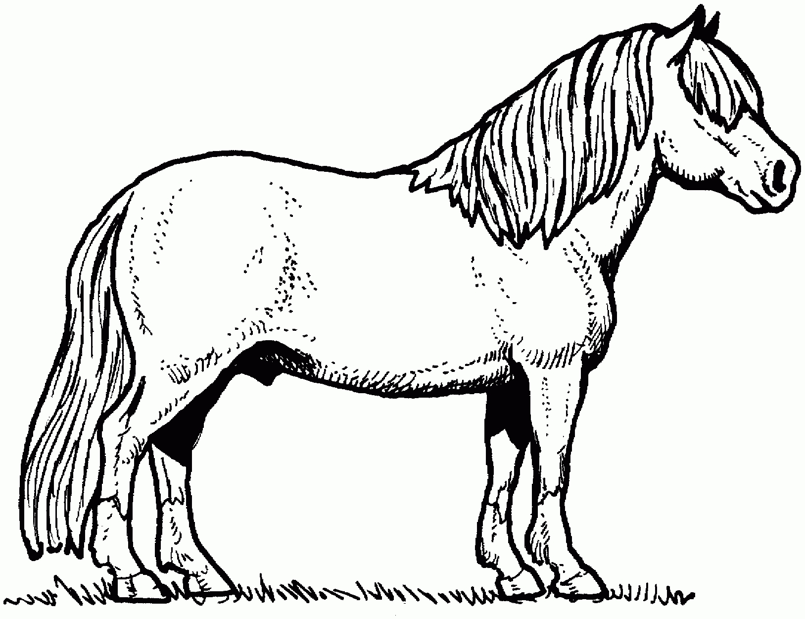Horse Head Coloring Pages To Print Horse Head Coloring Pages To ...