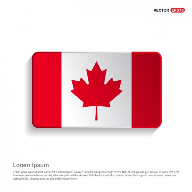 Canada Maple Leaf Vectors, Photos and PSD files | Free Download