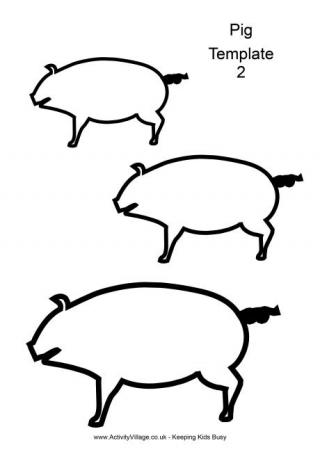 Pig Template