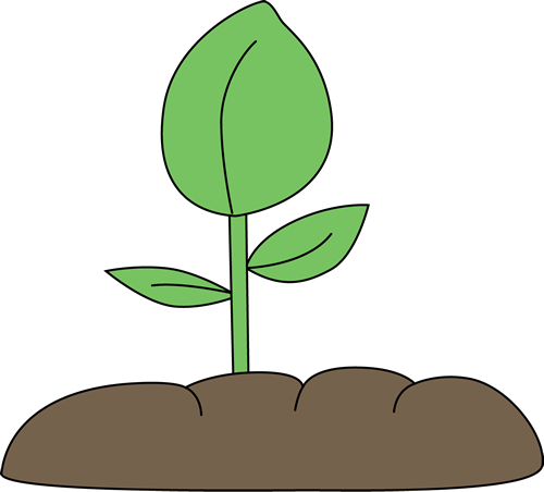 Free plant clipart