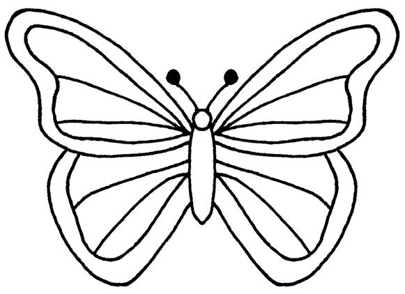 Butterfly outlines clipart