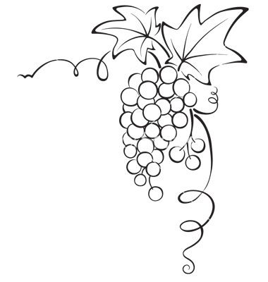 1000+ images about grapes graphic
