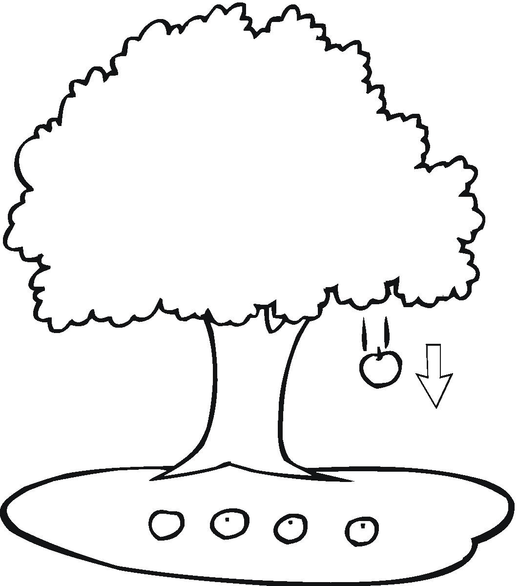 Apple Trees Drawing - ClipArt Best