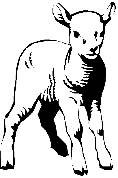 Lamb Line Drawing - ClipArt Best