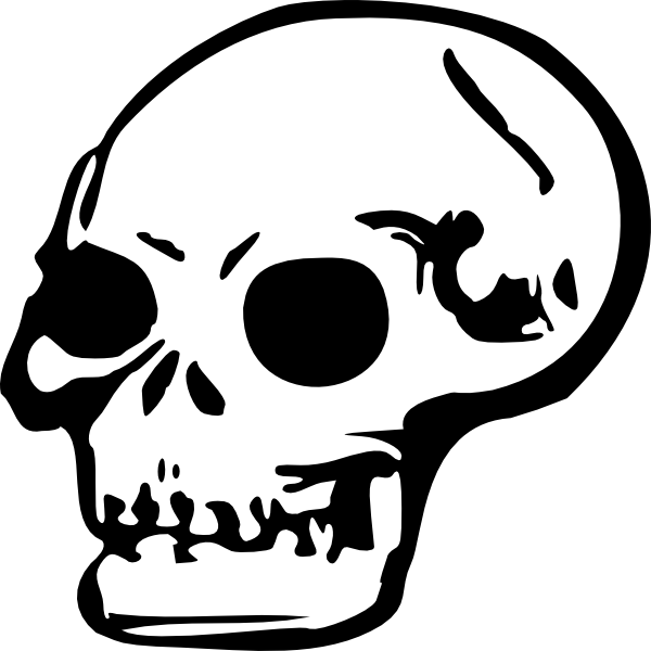 Human Skull Clip Art - vector clip art online ...