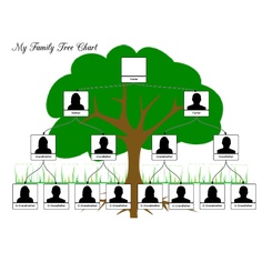 Family Tree For Kids Template | Anchor Charts, Management Ideas & Pos…