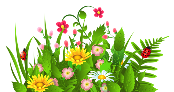 Gallery - Grass Grounds Coverings PNG Clipart