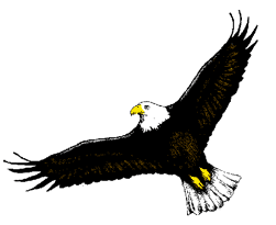 Free eagles clip art