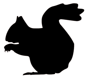 Squirrel Black And White Clipart