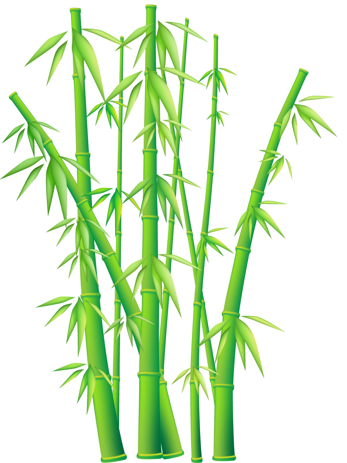 Bamboo Plant Clip Art - ClipArt Best