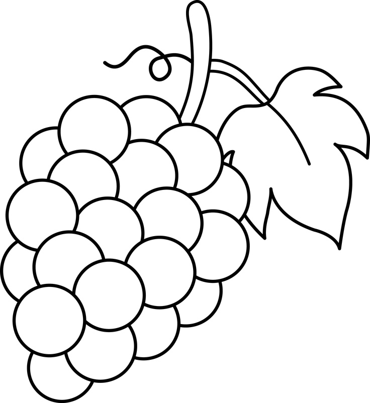 Drawings Of Grapes - ClipArt Best