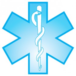 Reflective Standard Blue Star Of Life Decals