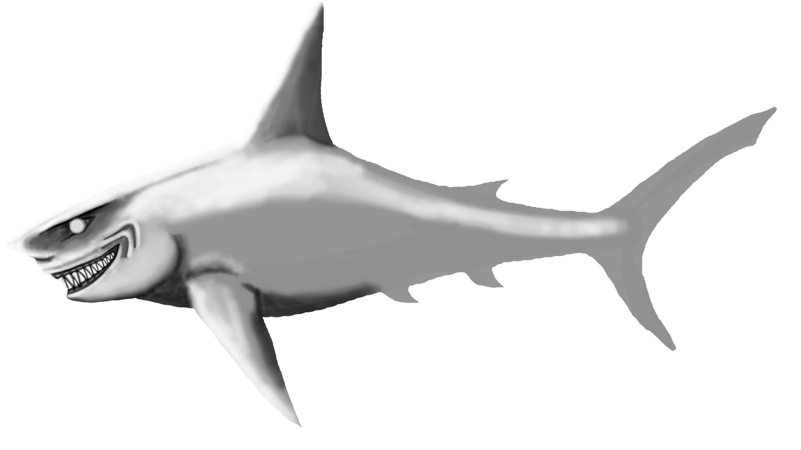 Katy J Negus. BA Hons. CG Arts & Animation: Galapagos Shark Concept