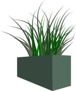 grass-in-square-planter-md.png