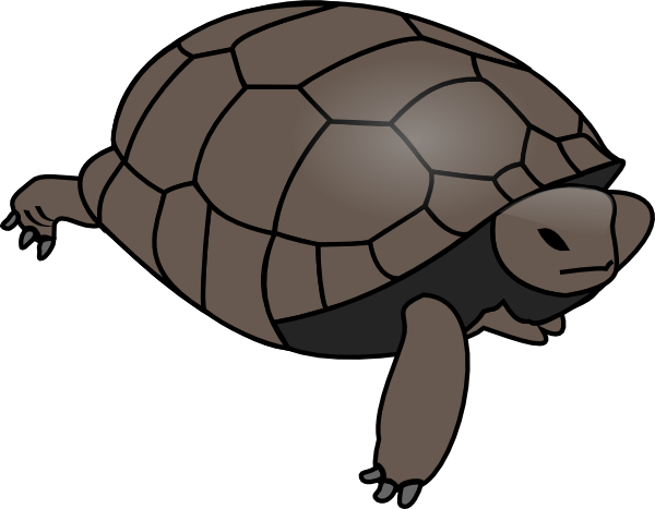 Turtle Clip Art - vector clip art online, royalty ...