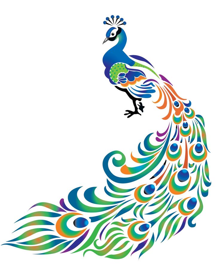 Free Peacock Clipart | Free Download Clip Art | Free Clip Art | on ...