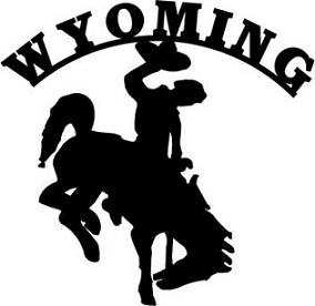 wyoming cowboy cowboys horse bucking steamboat clipart decal wy outline silhouette stickers state muslim cliparts petticoatsandpistols usa clip bronco he